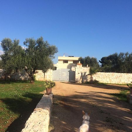דירות סן ויטו דיי נורמני Casa Eva מראה חיצוני תמונה