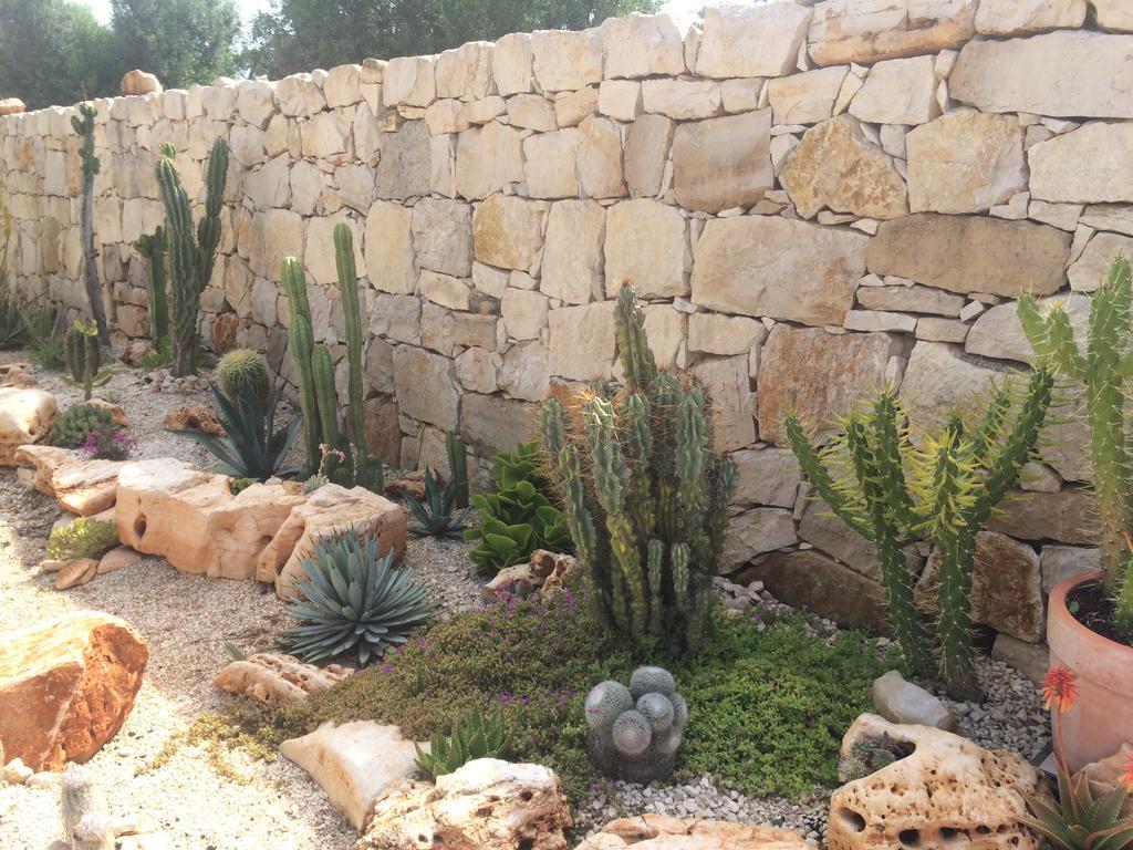 דירות סן ויטו דיי נורמני Casa Eva מראה חיצוני תמונה
